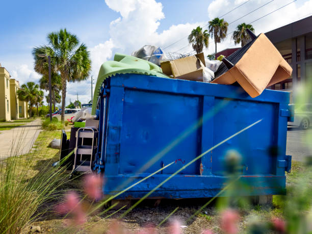 Best Electronics and E-Waste Disposal  in Waterloo, IL